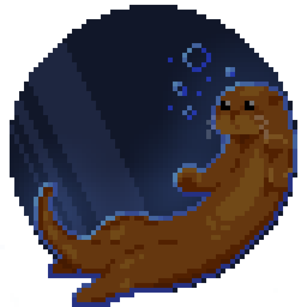 Sea otter in a circle
